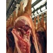 Мясо свинины полутуши глубокой заморозки в Алматы фото