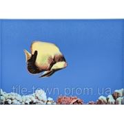 Плитка АTEM Моноколор Fish 1 голубой декор 27,5*40см фото