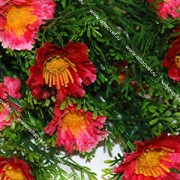 Искусственные цветы ромашки с пластиком фото