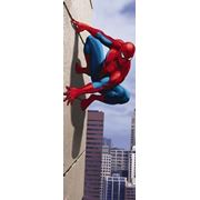 Детские фотообои на стену Человек-паук 90 градусов Komar 1-442 Spiderman 90 degree фото
