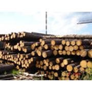 Закупка лесоматериалов балансов щепы тех. дрова