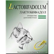 Лактобифадол для кошек фотография