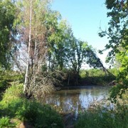 Земельный участок 3,63 га на берегу реки на границе с Московской областью фото