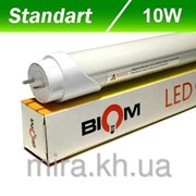 Светодиодная лампа Biom T8-600-10W СW 6200К G13 матовая (холодный белый) фото