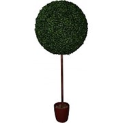 Искусственное дерево самшит шар на стволе d 40 см фото