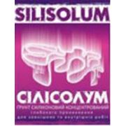 Грунт концентрированный Силисолум (Silisolum) фото