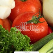 Семена сортовые овощей фото