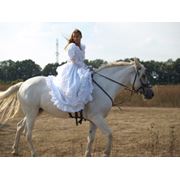 Прокат лошадей на свадьбу свадебная фотосессия выезд верхом жениха и невесты другие сценарии фото