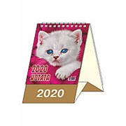 Календарь-домик 2020 А6 Элитная полиграфия "Котята", на гребне, KD-08