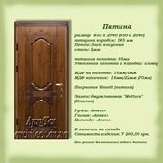 Двери металлические Донецк фото
