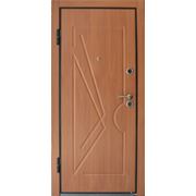 Двери бронированные г. Шостка металличесике двери фото
