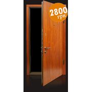 Бронированная дверь “Алекса“ от Dik Doors. Оптимальная цена от производителя. фото