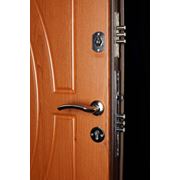 Двери входные стальные MaxiMet модель Premium-1 фото