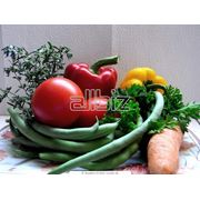 Доставка свежих продуктов в рестораны Киева доставка свежих овощей для ресторана Киев поставки свежих овощей кафе Киева свежие овощи и зелень оптом для ресторанов фото