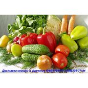 Доставка овощей и фруктов фото