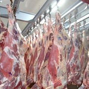 Конина фото