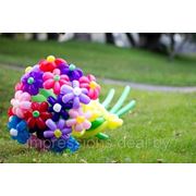 Цветы из воздушных шаров фотография