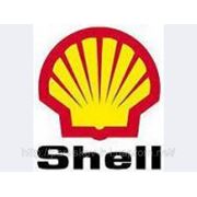 Масло компрессорное Shell Corena D 46 фото