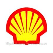 Shell Cassida Grease HDS 2 фото