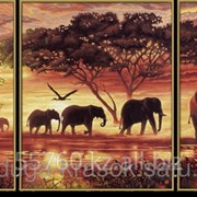 Картина стразами Африканские слоны 20*50-2шт, 40*50-1шт фотография