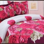 Комплект постельного белья Le Vele Daily series в розы WISH (DAILY) фото