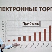 Проведение электронных торгов фото