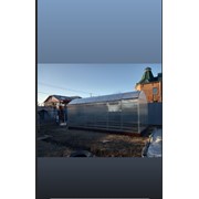 Теплица 029 Эргостиль фото