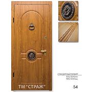 Дверь Straj Stability lev 54 фото