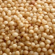 Амарант зерно, семена фото