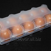 Упаковка пластиковая для фасовки яиц на 10 штук белая