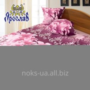 Комплект постельного белья бязь набивная ТМ Ярослав, t193, двойной (175х215 см) фото