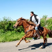 Прогулки на лошадях фотография