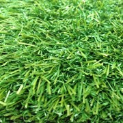 Искусственный газон для футбольных полей фото