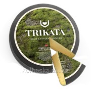 Сыр “Trikata“ Тильзитер Премиум 50% 3 месяц, 1 кг фото