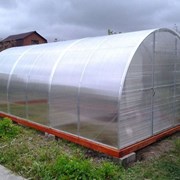 Теплица Сибирская 20ЦК-1, 8 м. Система крепления Краб + форточка Автоинтеллект фото
