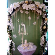 Свадебные арки (доступные цены). Ленты свадебные фото