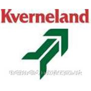 Запчасти Kverneland (Квернеленд)