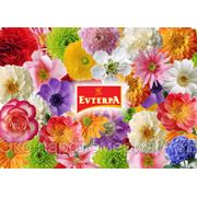 Эко парфюмерия АЮРВЕДА фото