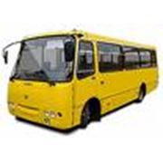Микроавтобус Эталон микроавтобус Дельфин автобус Богдан купить микроавтобусы Украина фото
