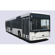 Автобус низкопольный МАЗ 203 предназначен для перевозки пассажиров на городских и пригородных маршрутах
