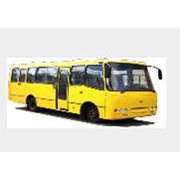 Пригородные автобусы`Богдан `