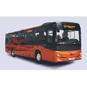 Пассажирская техника МАЗ МАЗ 231 предназначен для пригородно-междугородних перевозок автобусы пригородные