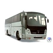 Автобусы междугородные туристические ГолАЗ 5291 “Круиз“ фото