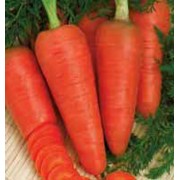 Морковь Кампино 100гр