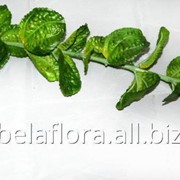 Цветок искусственный “Ветка зелёная декоративная“ фото