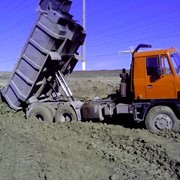 Услуги самосвала 20, 30, 35 тонн (MAN, TATRA) фото