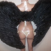 Черные крылья Ангела, 100 см. на 100 см.