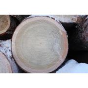 Лес-круглякдоски необрезныедоска обрезная строительнаядоска массивная от производителя продажа опт Николаев Украина фото
