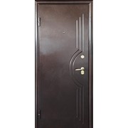 Дверь металлическая “Стелла“ фото
