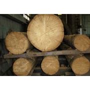 Сушилки для древесины производства компании КиевдревсервиС-С. Украина фото